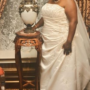 Wedding Dress & Veil